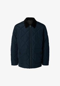 Izbrano, sky captain