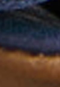 Immagine astratta sfocata con tonalità di blu scuro e marrone, caratterizzata da texture morbide e sottili variazioni di luce, priva di forme o dettagli distintivi.