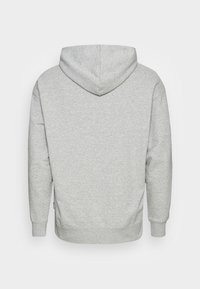 Grå sweatshirt med hætte, lavet af blødt stof. Den har en afslappet pasform, ribbede manchetter og en kant med minimal detaljer.