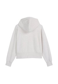 Helles graues, kurz geschnittenes Hoodie mit langen Ärmeln und gerippten Bündchen, von hinten auf einem weißen Hintergrund gezeigt.