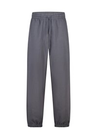 Grijze sportbroek met een elastische tailleband, verstelbaar trekkoord en elastische boorden, met een gladde textuur en een ontspannen pasvorm.