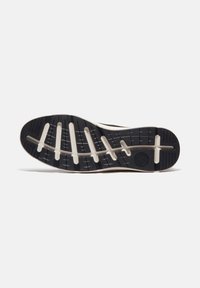 Timberland Sneakers basse - black