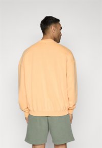 Felpa color pesca con vestibilità rilassata, polsini e orlo a coste, e un piccolo dettaglio nella parte posteriore. Abbinata a pantaloni corti verdi.