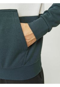 Mørkegrøn sweatshirt med kengurulomme, ribbede manchetter og nederste kant, samt et kontrasterende hvidt og marineblåt vandret stribedetalje.