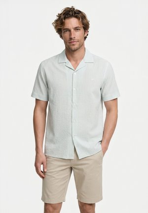 Uomo in piedi che indossa una camicia verde chiaro a righe a maniche corte con bottoni e pantaloncini beige con una mano in tasca.