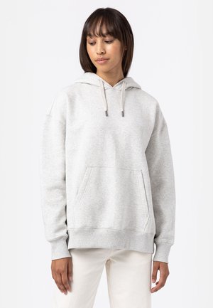 SUMMERDALE - Kapuzenpullover - light gray