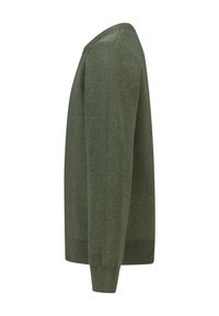 Maglione verde lavorato a maglia in mostra di profilo, dotato di scollatura a V, maniche lunghe, polsini e orlo a costine, con una texture morbida.