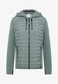 Unausgewählt, kelp green