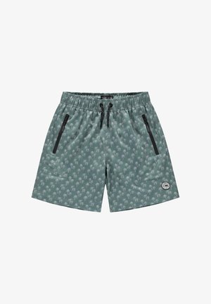 Groene zwemshorts met een palmboom patroon, elastische tailleband met trekkoord en twee zijzakken met rits. Logopatch op de zoom.