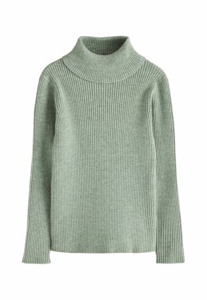 Next, REGULAR FIT - ROLL NECK JUMPER - Jumper - green