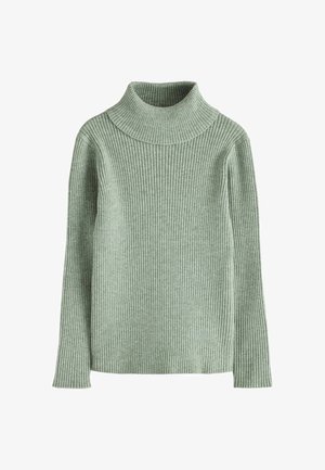 Next, REGULAR FIT - ROLL NECK JUMPER - Striktrøje - green