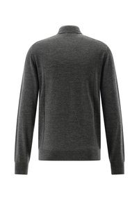 Dunkelgrauer langärmeliger Pullover mit einem Stehkragen, von hinten vor einem weißen Hintergrund gezeigt.