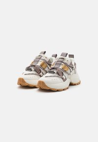 Steve Madden TAZMANIA - Trainers - pewter/gold
