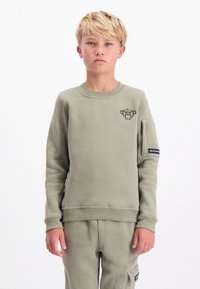 Groene sweatshirt met een ronde hals, geribde mouwen en een geborduurd aaplogo op de borst; textuurstof met een ontspannen pasvorm.