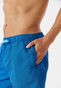 Blårandiga badshorts med elastisk midja, snörning och sidofickor. Texturen är slät och lätt.