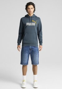 Puma Felpa con cappuccio - gray skies