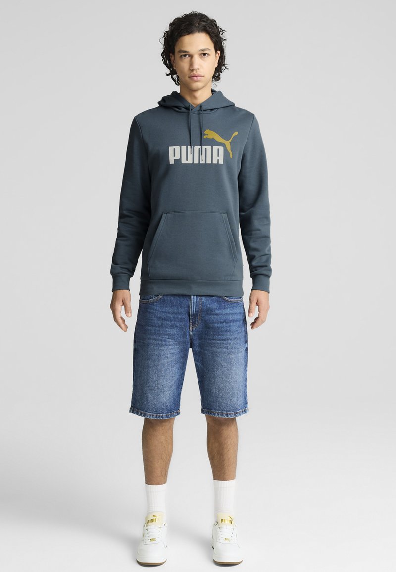Puma Felpa con cappuccio - gray skies