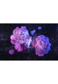 Thumbnail Image 7