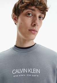 Felpa grigia con la scritta "CALVIN KLEIN" e le coordinate geografiche in testo bianco. Ha un collo a giro e un tessuto morbido e testurizzato.