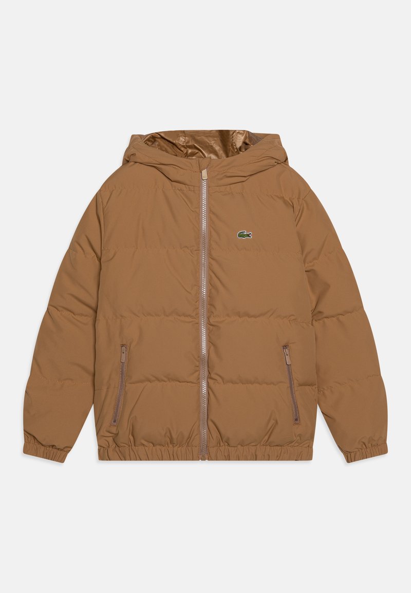 Lacoste BLOUSON CORE ESSENTIALS - Zimska jakna - cookie