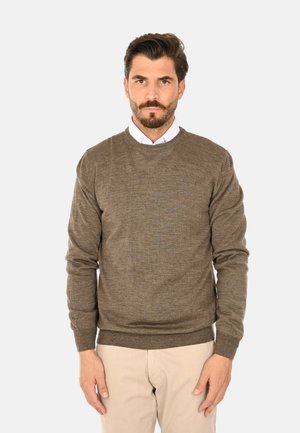 Maglione marrone a maglia con collo rotondo e polsini a coste, realizzato in un tessuto morbido. Indossato sopra una camicia bianca con colletto, abbinato a pantaloni beige chiaro.