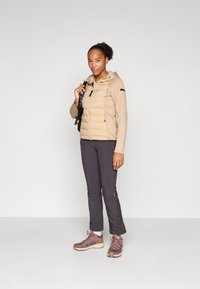Icepeak ASHBURN - Outdoorjakke - cement