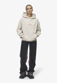 Pegador THEA OVERSIZED - Φούτερ - vintage moon grey