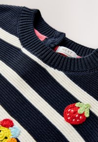 Navy and cream striped knit sweater with a ribbed crew neck. Features an embroidered red strawberry and colorful flower appliqué.