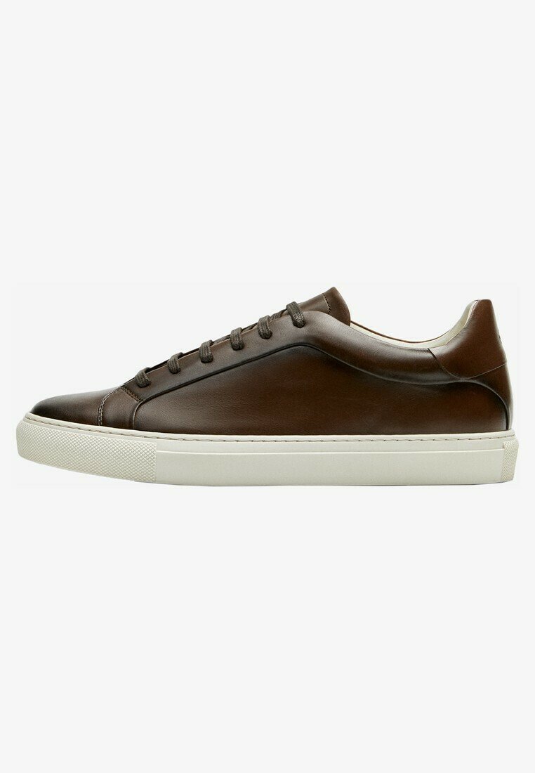 Massimo Dutti Baskets basses - brown/marron - ZALANDO.FR