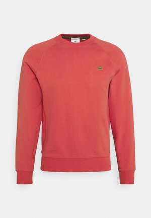 UNISEX - Sweatshirt - crater