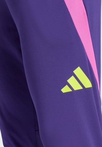 adidas Performance PREDATOR TRAINING - Broek - dark purple/semi lucid fuchsia