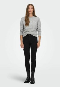 JDY JDYPARIS EMB NOOS - Mikina - light grey melange