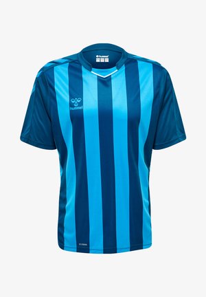 Blå och turkosa randiga sporttröja gjord av lättviktsmaterial, med v-ringning och logotyp på bröstet. Korta ärmar.