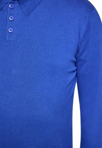 Langarm-Polohemd in einheitlichem, leuchtendem Blau, mit Kragen und Drei-Knopf-Leiste, aus einem glatten, gestrickten Stoff gefertigt.
