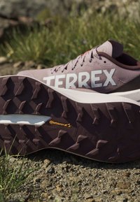 Κοντινή λήψη καφέ παπουτσιών Terrex για τρέξιμο σε μονοπάτια με υφή στη σόλα από ελαστικό Continental σε πετρώδες έδαφος.