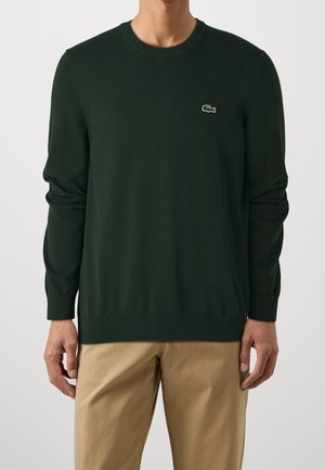 Homme portant un pull à manches longues vert foncé avec un petit logo crocodile brodé sur la poitrine et un pantalon beige, debout devant un fond uni.