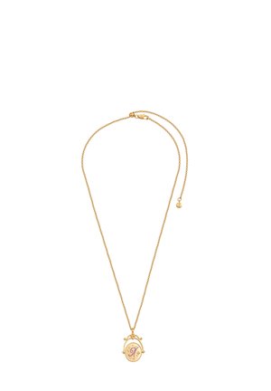 Zlatistý náhrdelník s tenkým reťazcom a okrúhlym príveskom. Prívesok má kvetinový vzor a vyrazené písmeno 'A' v ružovej farbe.