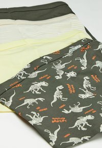 Drei Paare Kinderunterwäsche: olivgrün mit Dinosaurierknochen-Muster, hellgelb und creme gestreift. Alle sind aus weicher Baumwolle.