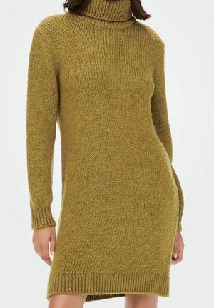 Robe-pull à col roulé tricotée vert olive à manches longues avec poignets et ourlet côtelés, portée par une personne debout.