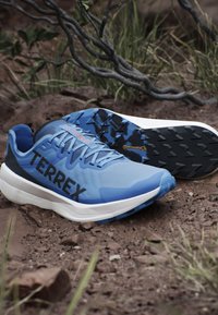 Scarpe da trail running blu con una tomaia in mesh traspirante, branding "TERREX" nero e suola in gomma gommata per una buona trazione.
