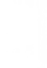 The North Face GLEN CANYON UNISEX - Turistinė kuprinė - mocha brown/smokey brown