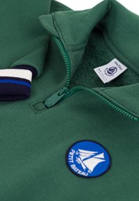 Petit Bateau ZIP MOLLETON  - Sweatshirt - willow