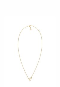 Guldkæde med en lille ankerpendant, glat metallisk finish, fine led og en krog med en forlængerkæde.