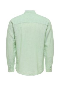 Chemise vert clair à manches longues avec boutons, vue de dos avec col et poignets boutonnés.