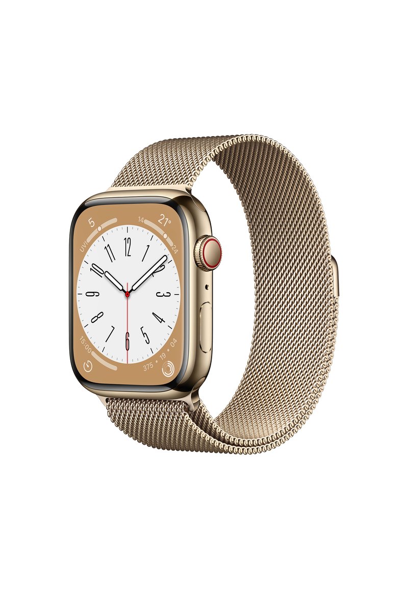 Apple Watch Hlle Gold