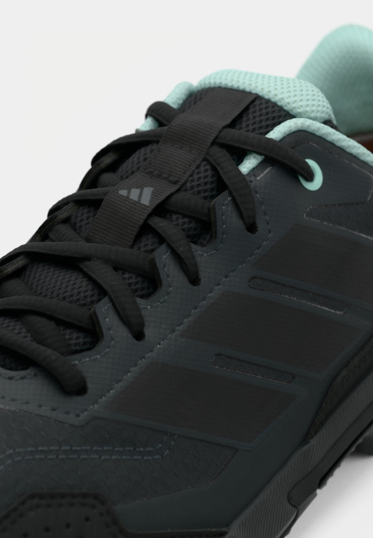EASTRAIL 3