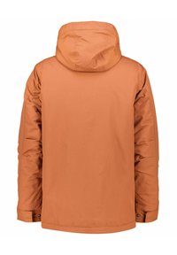 Patagonia ISTHMUS - Chaqueta outdoor - braun