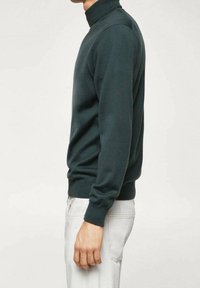 Tumma vihreä neulottu turtleneck-paita, jossa on pitkät hihat, ribbireunat ja kapea leikkaus, yhdistettynä vaaleisiin housuihin.