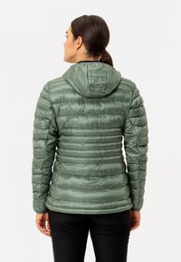 Gevoerde groene jas met capuchon, met een gequilt ontwerp, glanzende afwerking en elastische manchetten. Achteraanzicht toont naaddetails en silhouet.