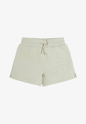 ACTIVE - Shorts - grün